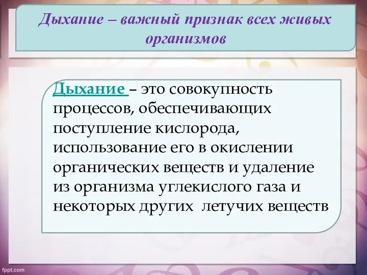 Дыхание – важный признак всех живых организмов Дыхание – это