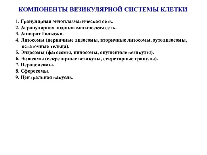 КОМПОНЕНТЫ ВЕЗИКУЛЯРНОЙ СИСТЕМЫ КЛЕТКИ 1. Гранулярная эндоплазматическая сеть. 2. Агранулярная