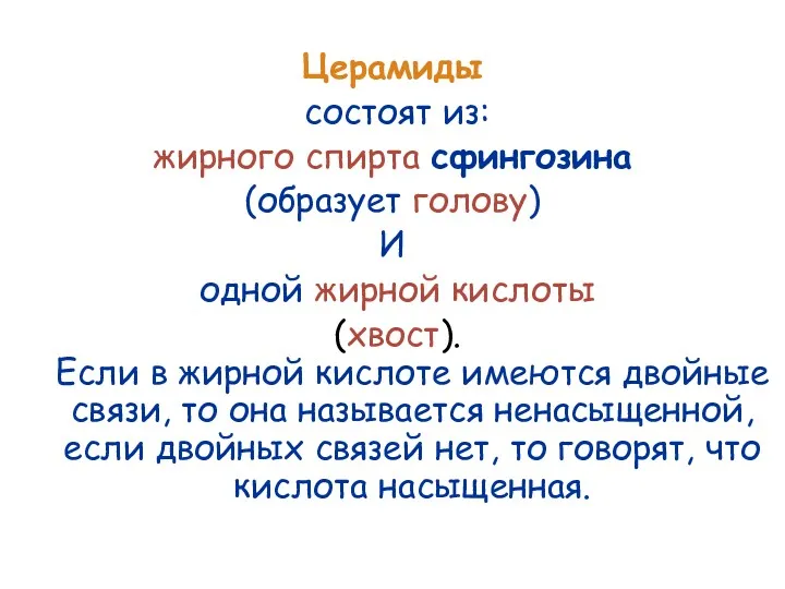 Церамиды состоят из: жирного спирта сфингозина (образует голову) И одной