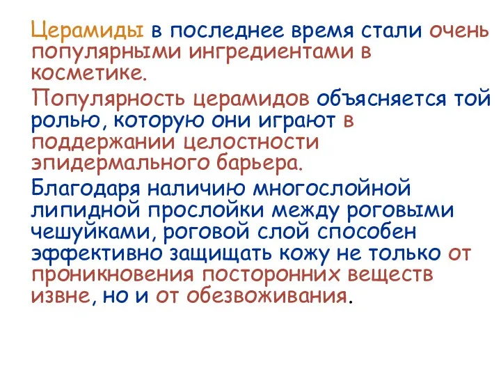 Церамиды в последнее время стали очень популярными ингредиентами в косметике.