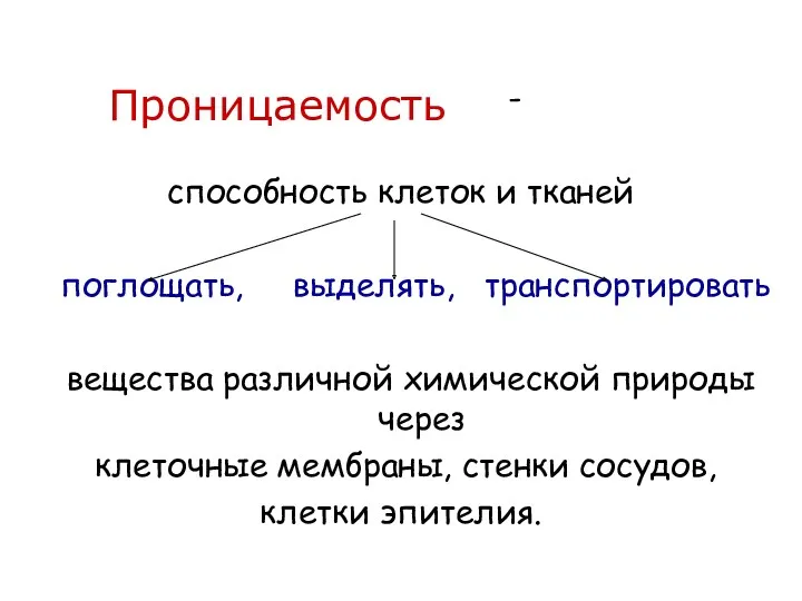 Проницаемость - способность клеток и тканей поглощать, выделять, транспортировать вещества