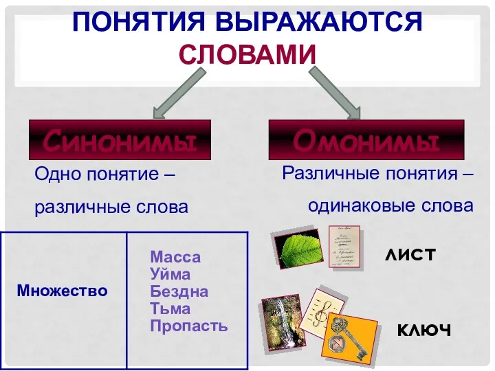 ПОНЯТИЯ ВЫРАЖАЮТСЯ СЛОВАМИ Синонимы Омонимы Одно понятие – различные слова