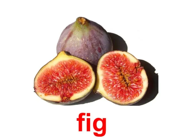 fig