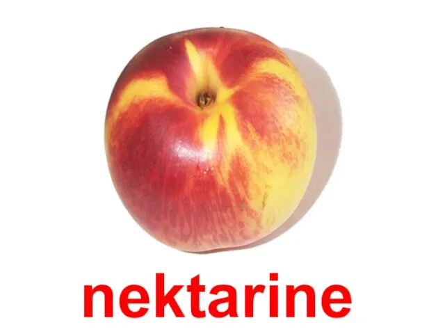 nektarine