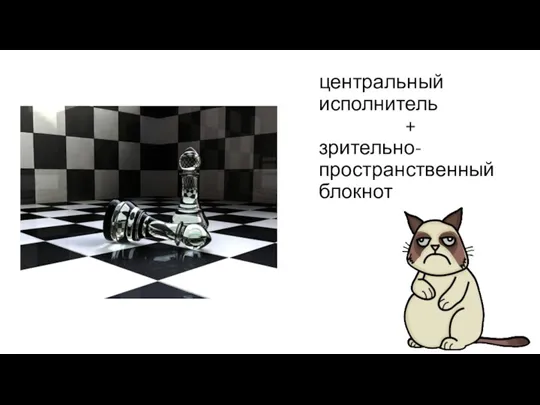 центральный исполнитель + зрительно-пространственный блокнот