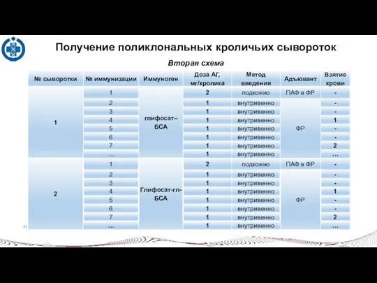 www.vgnki.ru 2 | Получение поликлональных кроличьих сывороток Вторая схема