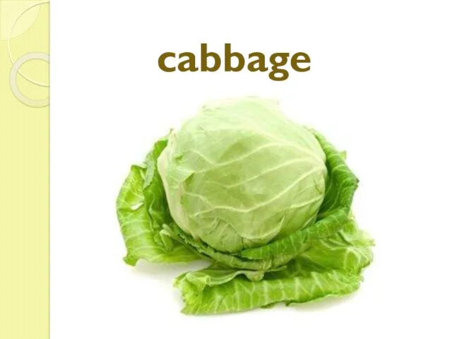 cabbage