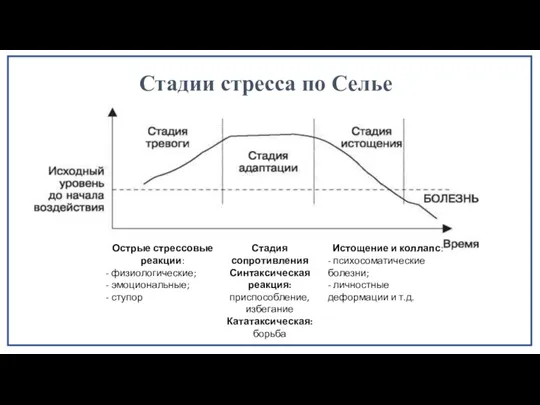 Стадии стресса по Селье Острые стрессовые реакции: - физиологические; -