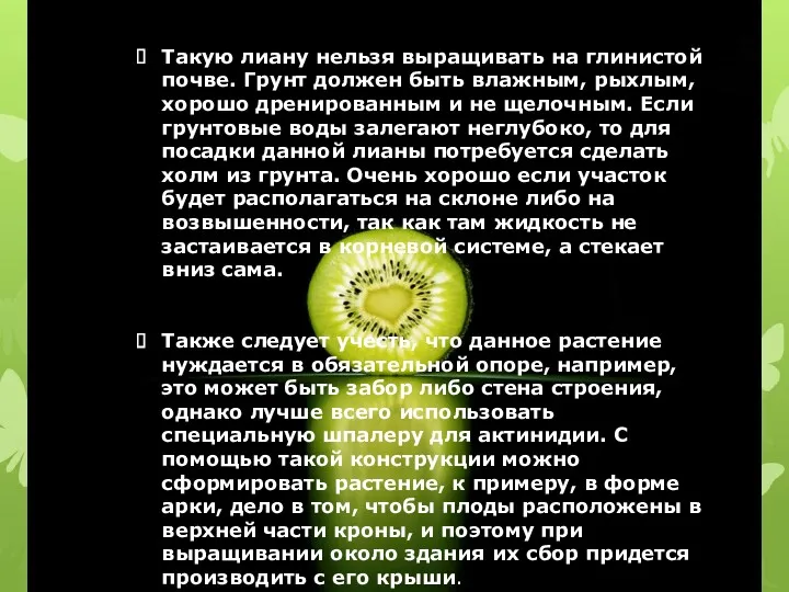 Такую лиану нельзя выращивать на глинистой почве. Грунт должен быть