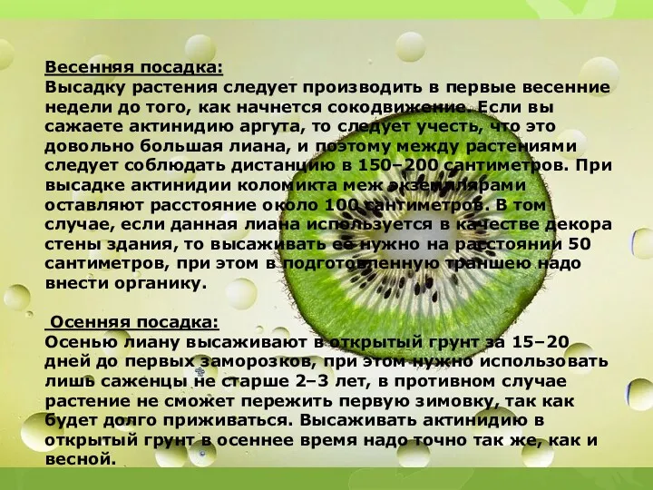 Весенняя посадка: Высадку растения следует производить в первые весенние недели