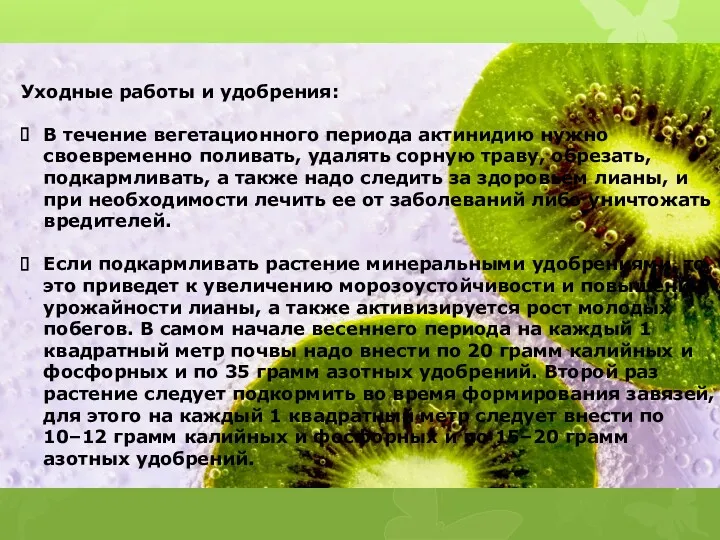 Уходные работы и удобрения: В течение вегетационного периода актинидию нужно