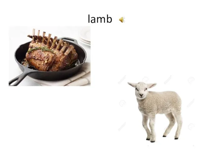 lamb