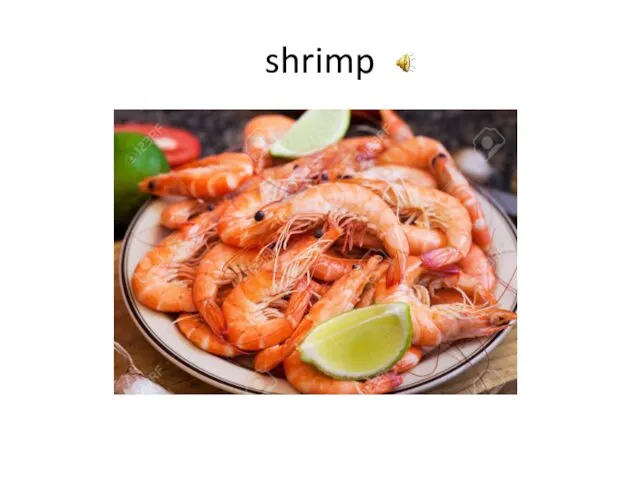 shrimp