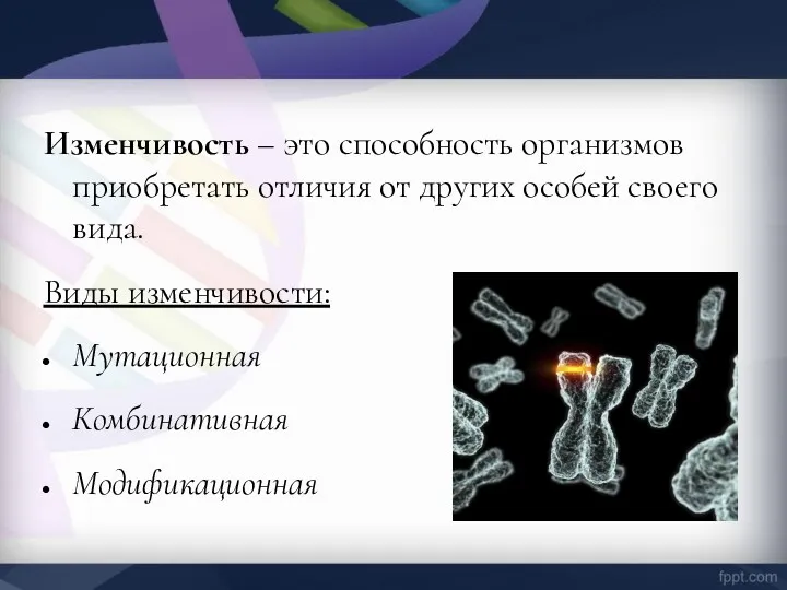 Изменчивость – это способность организмов приобретать отличия от других особей