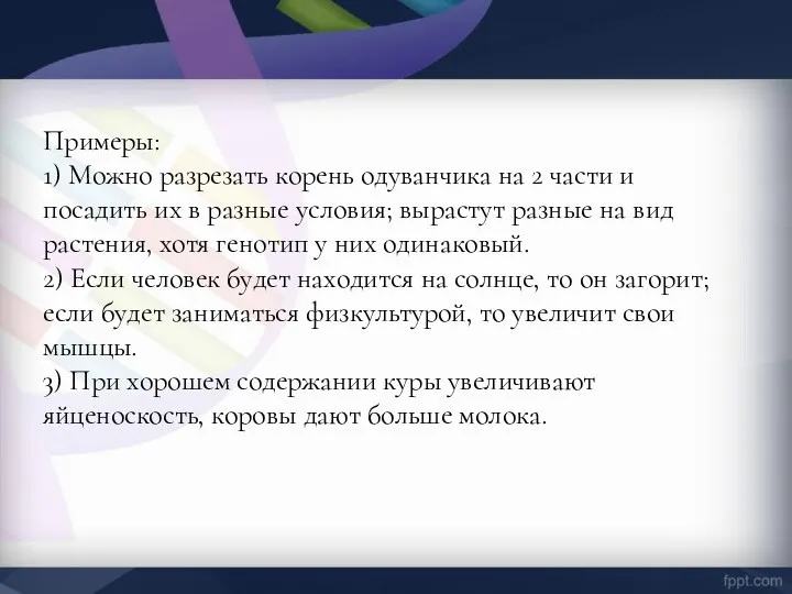 Примеры: 1) Можно разрезать корень одуванчика на 2 части и