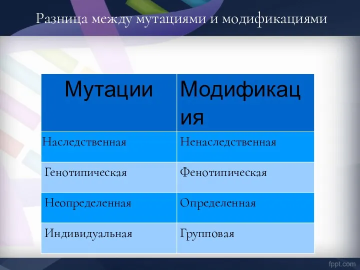 Разница между мутациями и модификациями