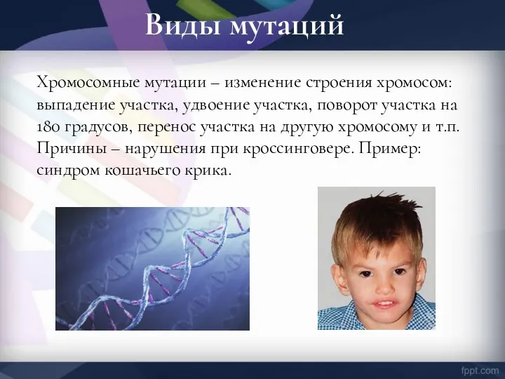 Виды мутаций Хромосомные мутации – изменение строения хромосом: выпадение участка,
