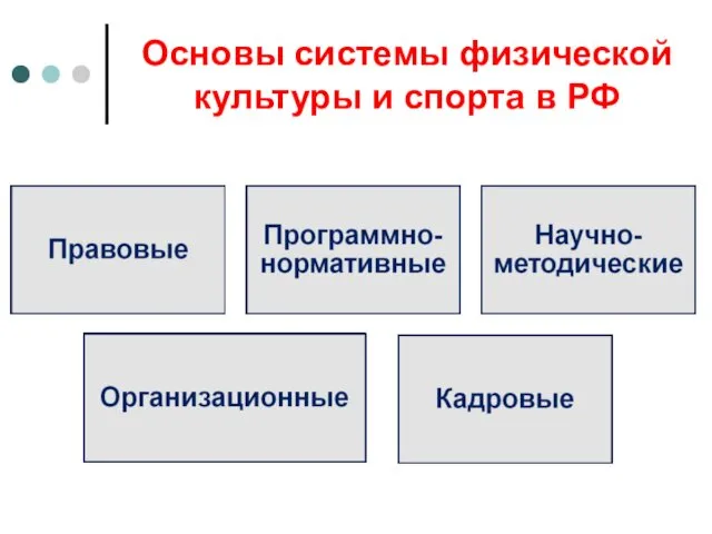 Основы системы физической культуры и спорта в РФ