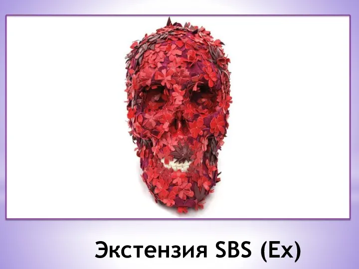 Экстензия SBS (Ex)