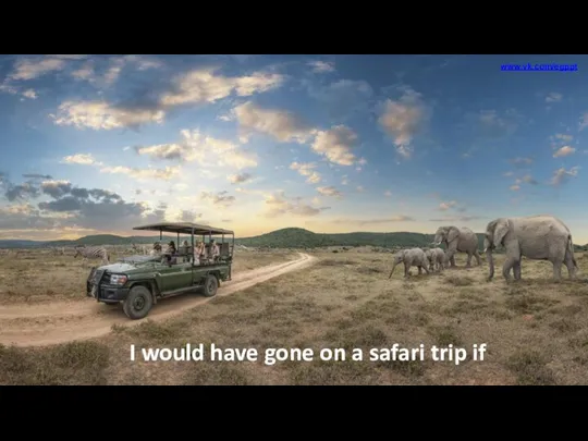 I would have gone on a safari trip if …… www.vk.com/egppt