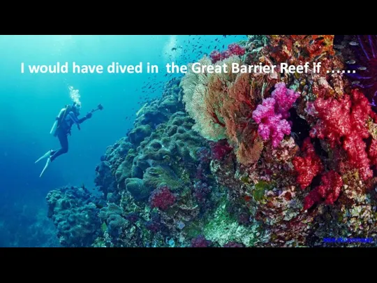 I would have dived in the Great Barrier Reef if …… www.vk.com/egppt