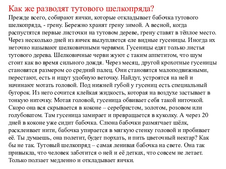 Как же разводят тутового шелкопряда? Прежде всего, собирают яички, которые