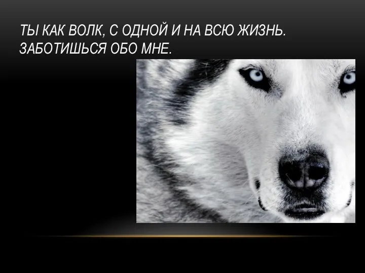 ТЫ КАК ВОЛК, С ОДНОЙ И НА ВСЮ ЖИЗНЬ. ЗАБОТИШЬСЯ ОБО МНЕ.