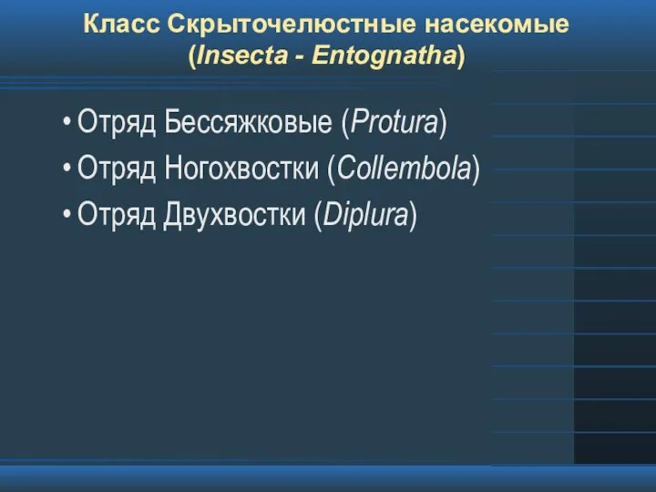 Класс Скрыточелюстные насекомые (Insecta - Entognatha) Отряд Бессяжковые (Protura) Отряд Ногохвостки (Collembola) Отряд Двухвостки (Diplura)