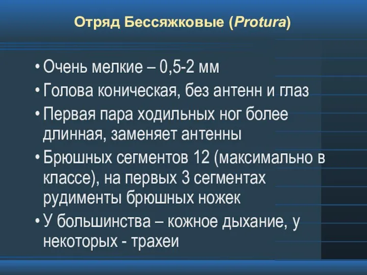 Отряд Бессяжковые (Protura) Очень мелкие – 0,5-2 мм Голова коническая,