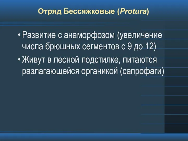 Отряд Бессяжковые (Protura) Развитие с анаморфозом (увеличение числа брюшных сегментов