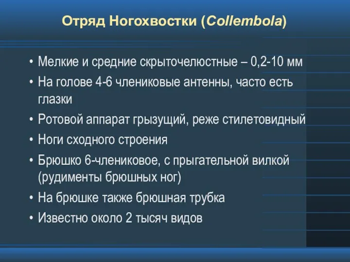 Отряд Ногохвостки (Collembola) Мелкие и средние скрыточелюстные – 0,2-10 мм