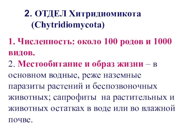 2. ОТДЕЛ Хитридиомикота (Chytridiomycota) 1. Численность: около 100 родов и