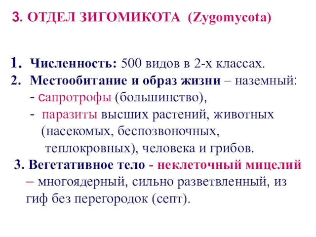 3. ОТДЕЛ ЗИГОМИКОТА (Zygomycota) Численность: 500 видов в 2-х классах.