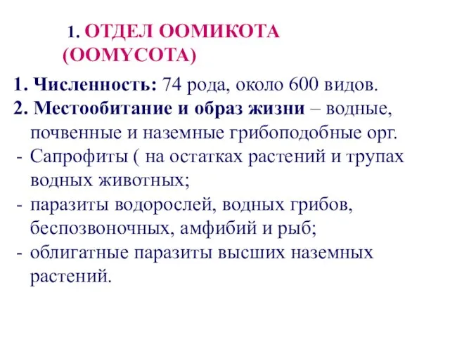 1. ОТДЕЛ ООМИКОТА (OOMYCOTA) 1. Численность: 74 рода, около 600