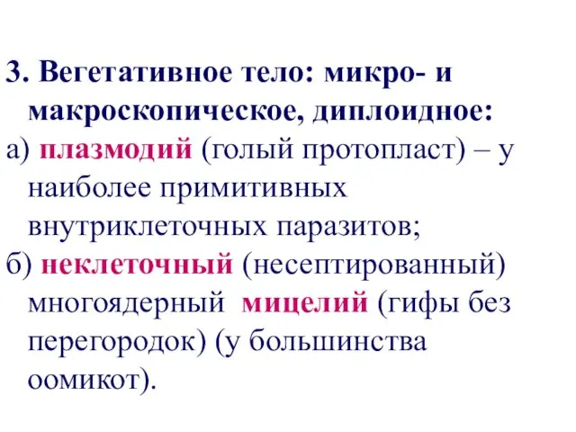 3. Вегетативное тело: микро- и макроскопическое, диплоидное: а) плазмодий (голый