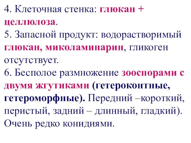 4. Клеточная стенка: глюкан + целлюлоза. 5. Запасной продукт: водорастворимый