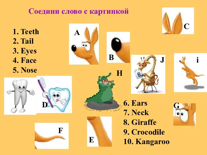 Соедини слово с картинкой 1. Teeth 2. Tail 3. Eyes