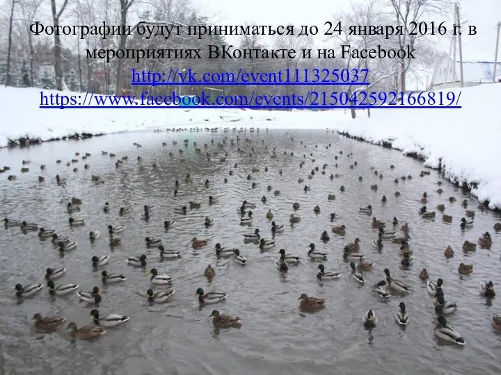 Фотографии будут приниматься до 24 января 2016 г. в мероприятиях ВКонтакте и на Facebook http://vk.com/event111325037 https://www.facebook.com/events/215042592166819/