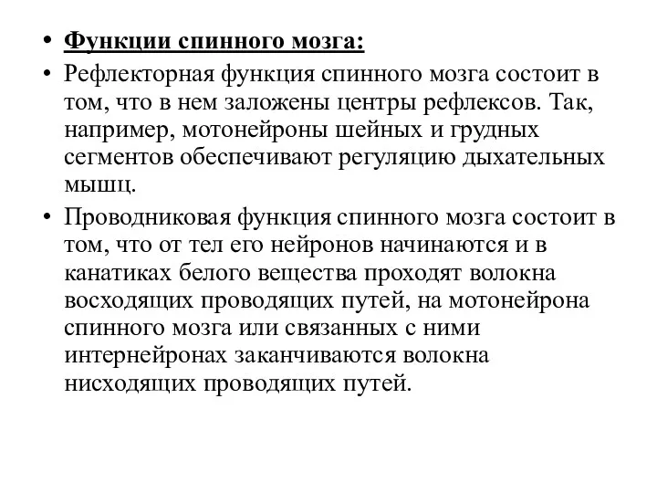 Функции спинного мозга: Рефлекторная функция спинного мозга состоит в том,