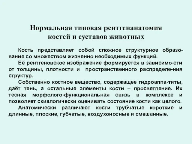 Нормальная типовая рентгенанатомия костей и суставов животных Кость представляет собой