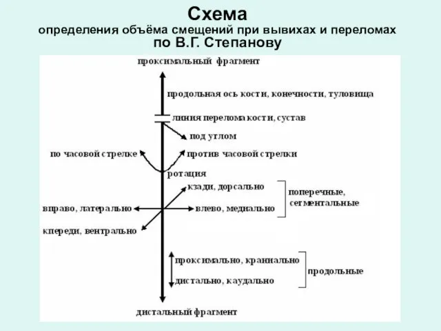 Схема определения объёма смещений при вывихах и переломах по В.Г. Степанову