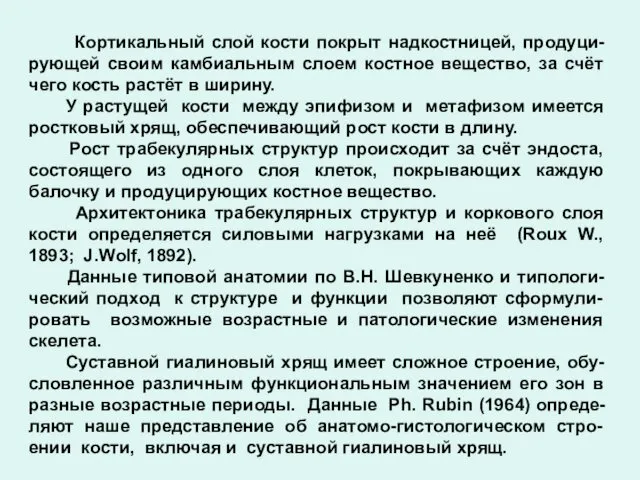 Кортикальный слой кости покрыт надкостницей, продуци-рующей своим камбиальным слоем костное