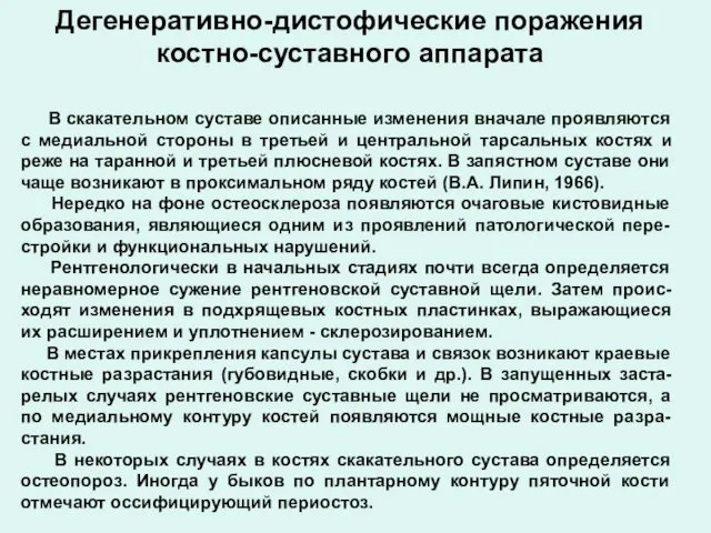 В скакательном суставе описанные изменения вначале проявляются с медиальной стороны