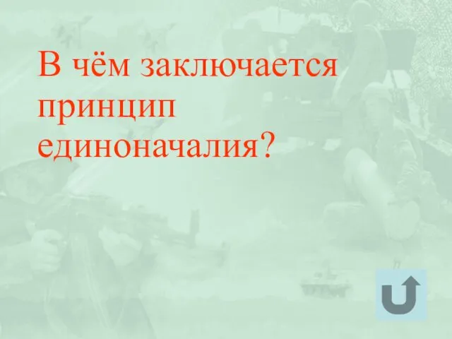 В чём заключается принцип единоначалия?