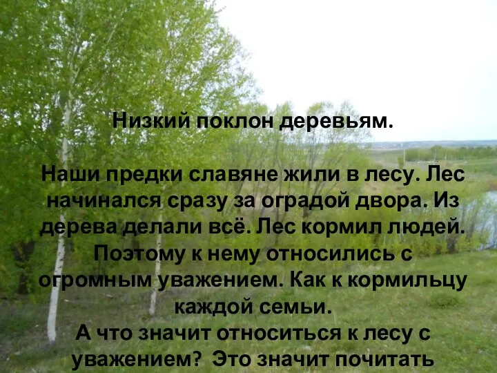 Низкий поклон деревьям. Наши предки славяне жили в лесу. Лес начинался сразу за