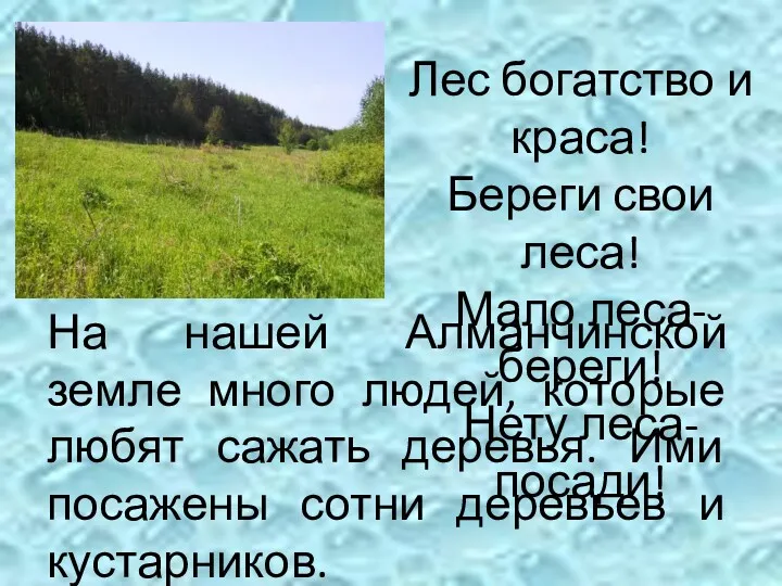 Лес богатство и краса! Береги свои леса! Мало леса-береги! Нету леса-посади! На нашей