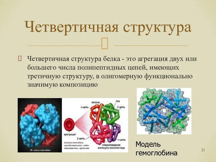 Четвертичная структура белка - это агрегация двух или большего числа