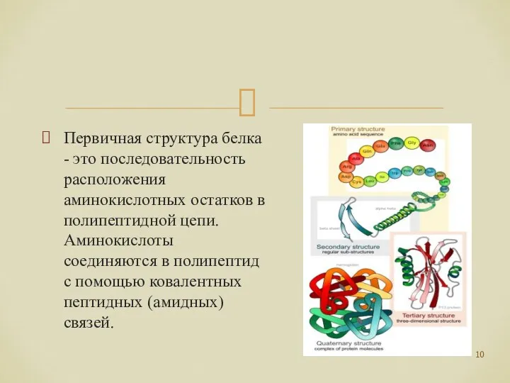 Первичная структура белка - это последовательность расположения аминокислотных остатков в