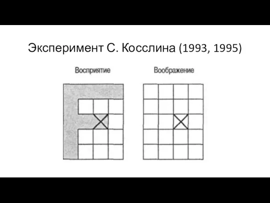 Эксперимент С. Косслина (1993, 1995)