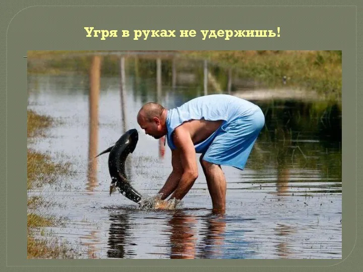 Угря в руках не удержишь!